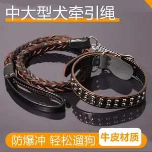 Dog leash for medium and large dogs, leather dog chain, anti-explosion dog chain and collar for Golden Retrievers/German Shepherds