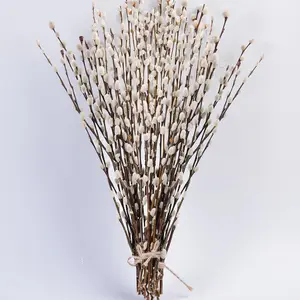 45 Stems 16"Real Dried Pussy Willow Branches for Vase,100% Natural PussyWillows with White Flowers, Snow Willow Branches for Indoor and Outdoor Decor, Wedding Home Party Hotel Fireplace Yard