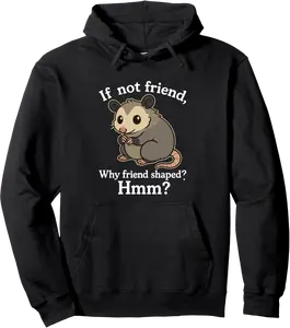 If Not Friend Why Friend Shaped Hmm Pullover Hoodie - Codyweav Shop 89B0FGTJ3L9L