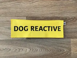 Dog Reactive