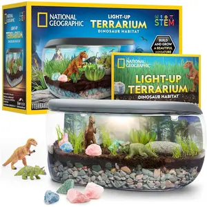 Light Up Terrarium Kit for Kids  Build a Dinosaur Habitat with Real Plants  Gemstones, Science Kit Gift for Boys  Girls, Dinosaur Toys for Kids (Exclusive)