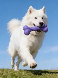 Silicone Dog Chew Toy - Durable, Bite-Proof, Food-Safe Teething Aid for Chewing Dogs