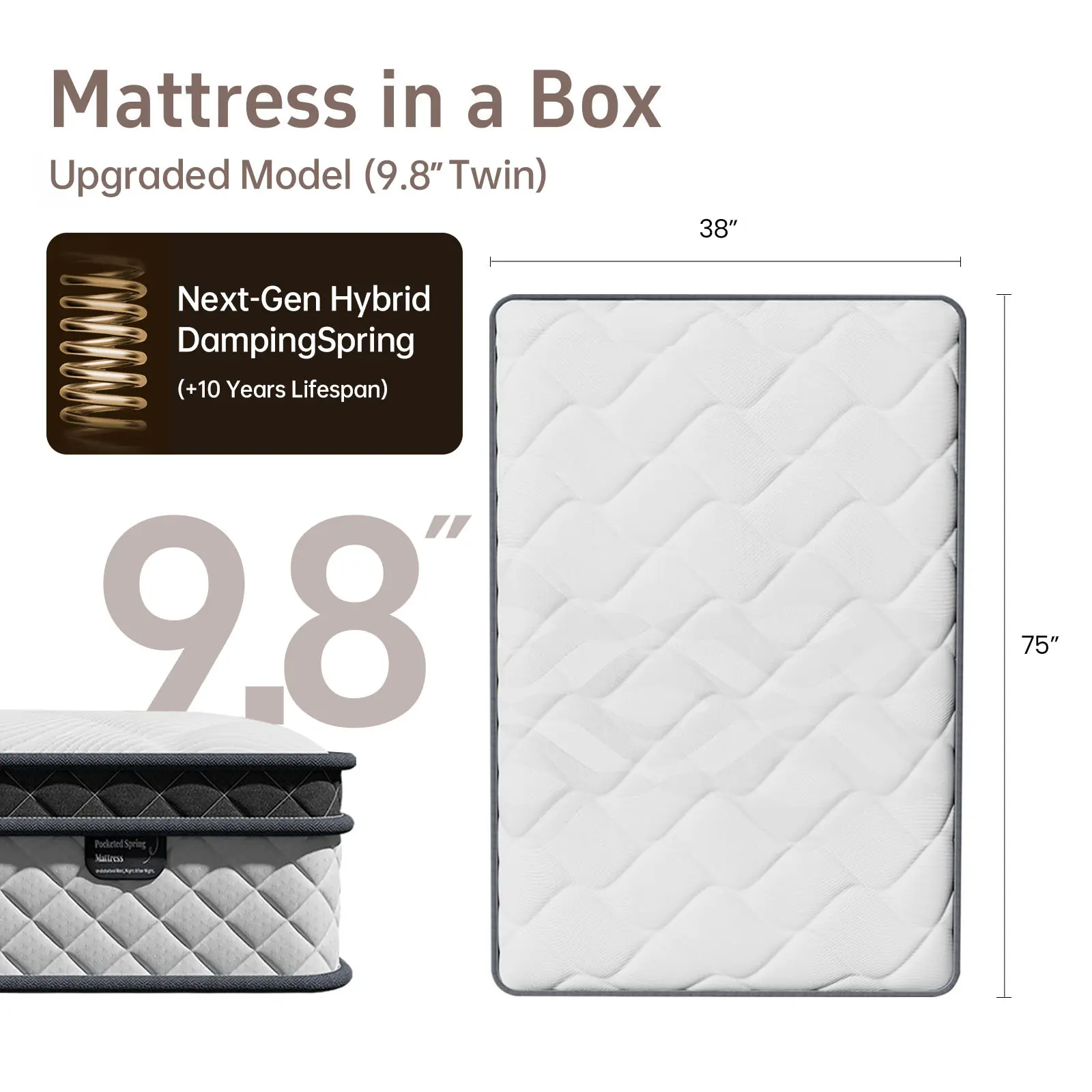 Upgraded 9.8“ Twin