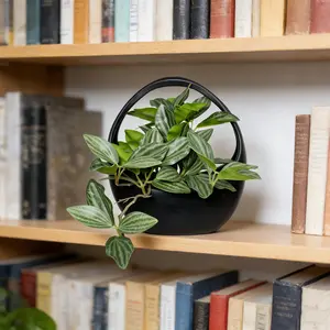 1pc Artificial Variegated Grass Potted Plant, 18cm Artificial Tropical Plant in A Black Pot with A Handle, Spider Plant and White-veined Peperomia Plant Ornament, Artificial Plants, Decorations for Outdoor Gatherings, Events, Holidays,home Decor