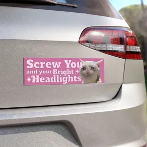 I Hate LED Headlights Funny Car Magnet - Pink Car Accessory Sad Cat Meme Car Magnet - Unhinged Gen Z Humor Magnet