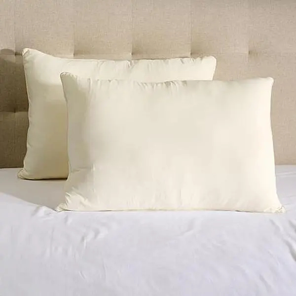 South Street Loft Set of 2 Pillows with Removable Nylon Cover
