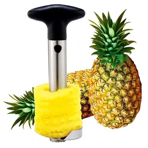 Plastic Pineapple Corer Slicer Cutter Peeler Tool Kitchen Easy Gadget Fruit Utensils