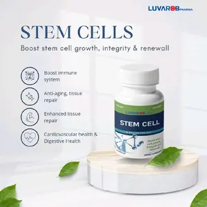 Vitamin for Renewall , growth, Antiaging cells , Dgestive Support and Antiretroviral for Man and Womens stem cells 60 Tablets
