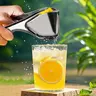 Durable 8-Inch Stainless Steel Lemon Squeezer - Heavy-Duty Fruit Juicing Utensil, Fold-Flat Home Goods Kitchen Gadget with Comfortable Ergonomic Handle, Quiet Smooth Operation, Easy to Use, Dishwasher Safe Accessory,familyfun