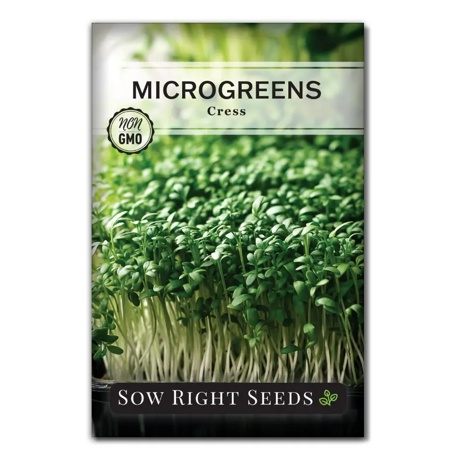 Microgreens Cress Microgreens Cress