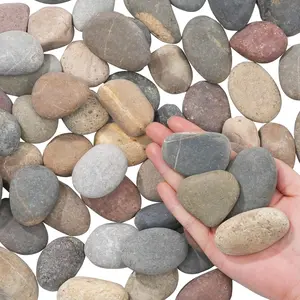 River Rocks-20 lbs of Pebbles and River Stones,2-3 Inch  Rocks for Landscaping,Garden Paving,Crafting,Walkways,and Outdoor Decorative Stone,Mexican Beach River Rocks