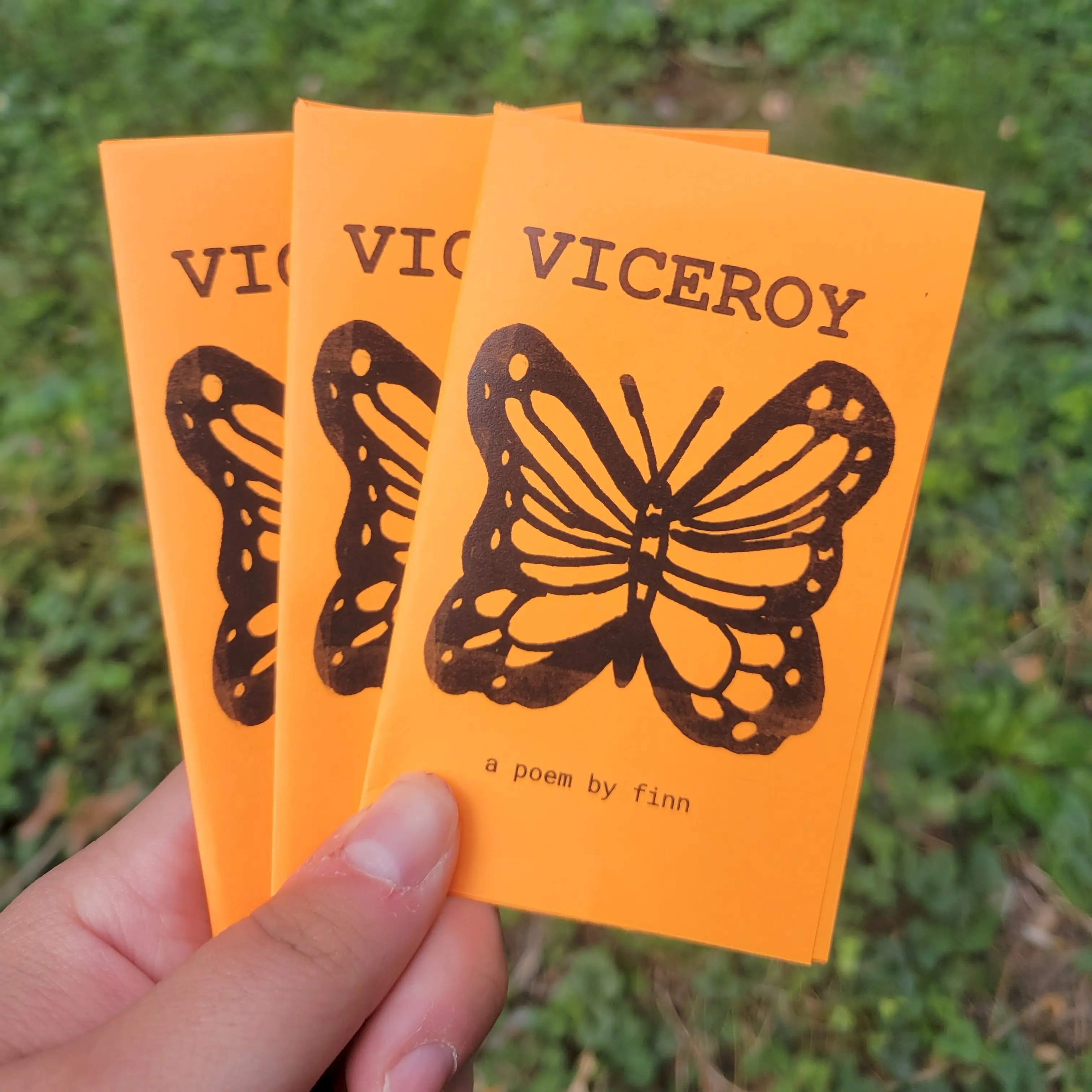 Viceroy: a poem - 8-page mini zine with original poem and doodles