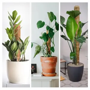 Stackable Plant Moss Coconut Shell Pole, 40cm Size Optional, Dracaena Climbing Support Extension Palm Vine Stick for Indoor Balcony Garden Patio Floral Decor