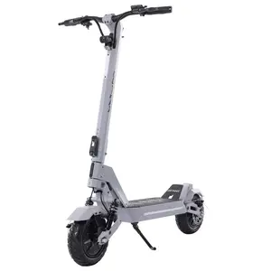 GOTRAX GX2 Electric Scooter 40 Miles Range 35 MPH Top Speed 800W Motors 48V Battery LED Display IP54 Waterproof