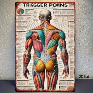 2D Flat Chinese Medicine Acupuncture Chart - 8x12 Inch Human Anatomy Poster with Trigger Points, Muscle Groups, Meridians - Labeled