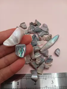 Tumbled Abalone Shell Pieces – Polished Natural Shell Chips for Crafts, Decor & Jewelry (Small)