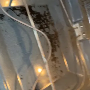 Product Review of Schenley 18-in-1 Steam Mop with Detachable Handheld Steamer for Walls, Floors, Tiles, Tackles Grease & Sticky Messes, Includes Multiple Accessories Cleaning Tools Cleaning Set from B**i