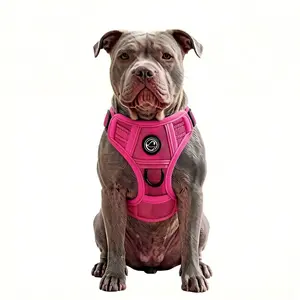 Breathable Mesh Dog Harness with Durable Nylon Reinforcement, Outdoor Walking Strap for Medium Large Dogs, All-Season Use