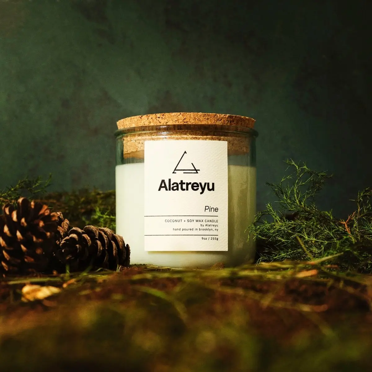 Pine Scented Candle | Pine Sap · Oakmoss · Caramel | The smell of a crisp winter forest | Hand-Poured Cozy Winter Home Fragrance | 100% Coconut + Soy Wax | Pay What You Can