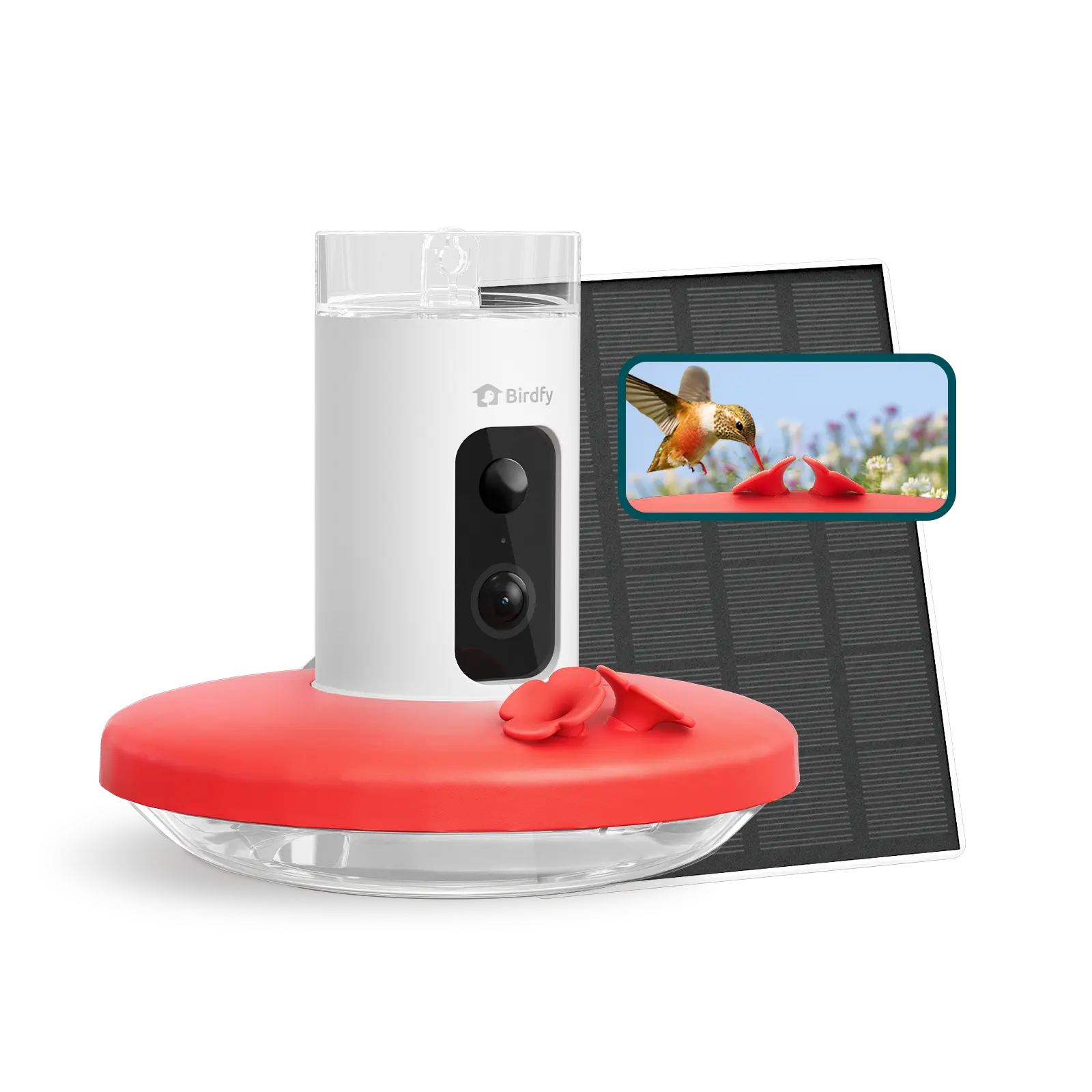 Birdfy Smart Hummingbird Feeder with Hummingbird Video Camera (1080p), Solar-Powered 14oz Outdoor Feeder, Auto-Detect Recording, Instant Notifications, Live View, Ant-Bee Proof, Ant Moat, S-Hook, Mini Brush, Polypropylene, Bird Lover Gift