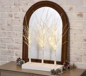 Illuminated Birch Tree Centerpiece by Valerie