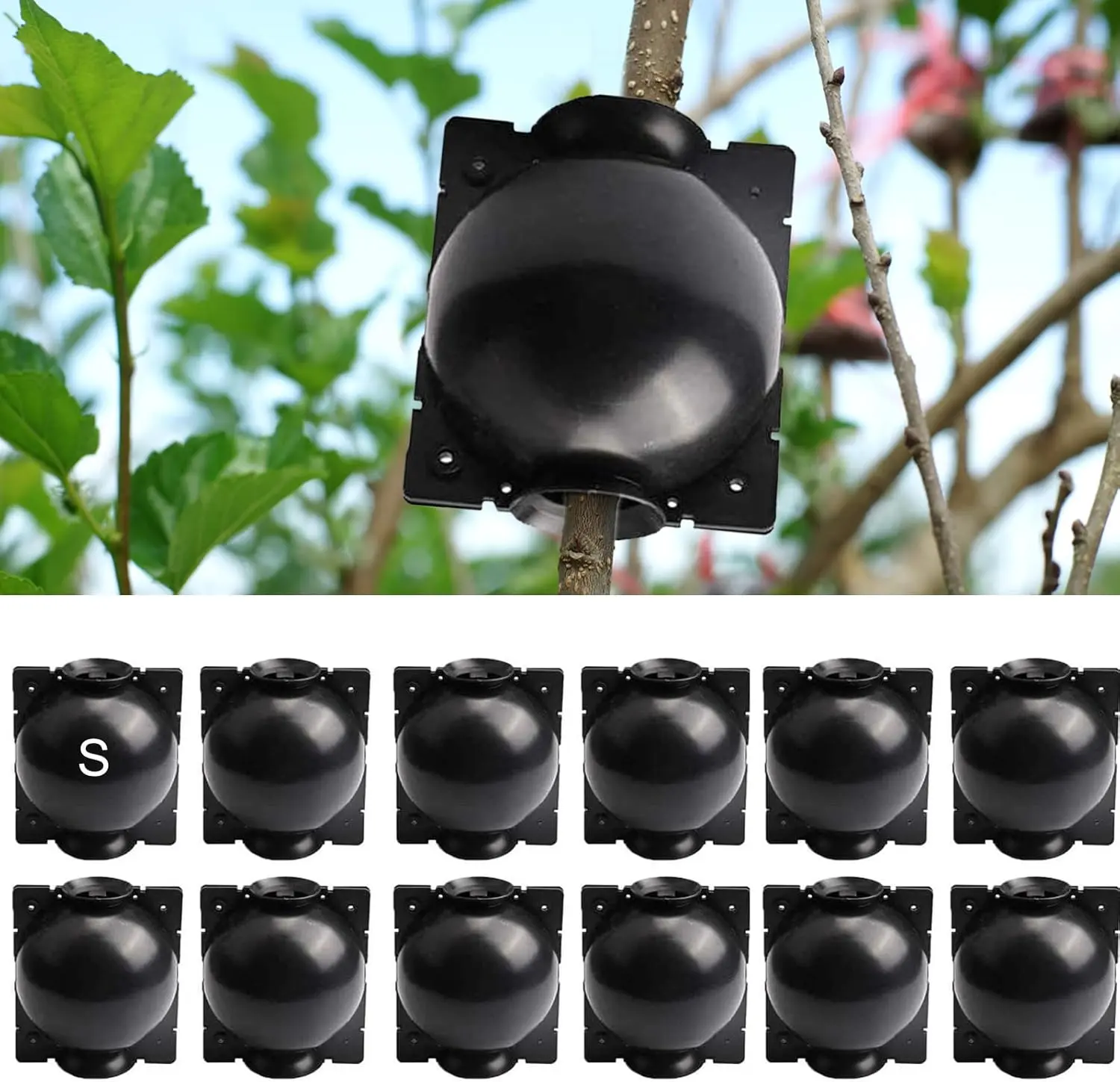 Root Growing Box 12 Count Air Layering Propagation Kit Rooting Ball Grafting Tools for  Propagation Small Secure Lock Design