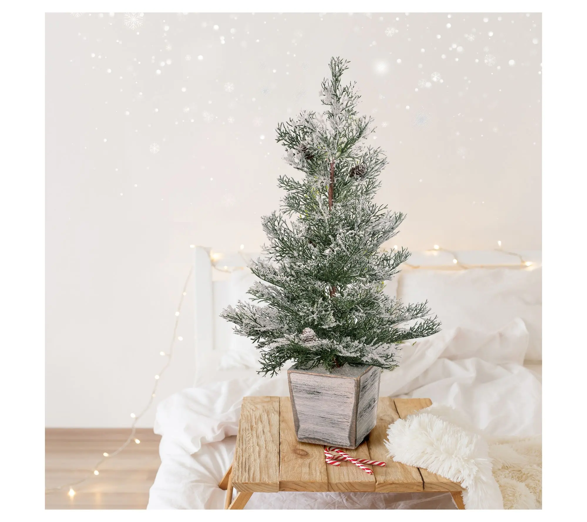 26" Frosted Cedar Tree In Wood Planter by Valerie