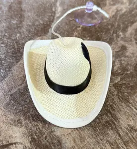 Custom sombreros para carro con pluma