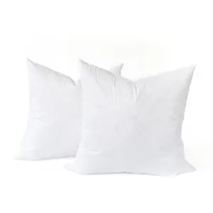 Maison Des Garçon European Goose Down Throw Pillow Inserts (Set of 2)
