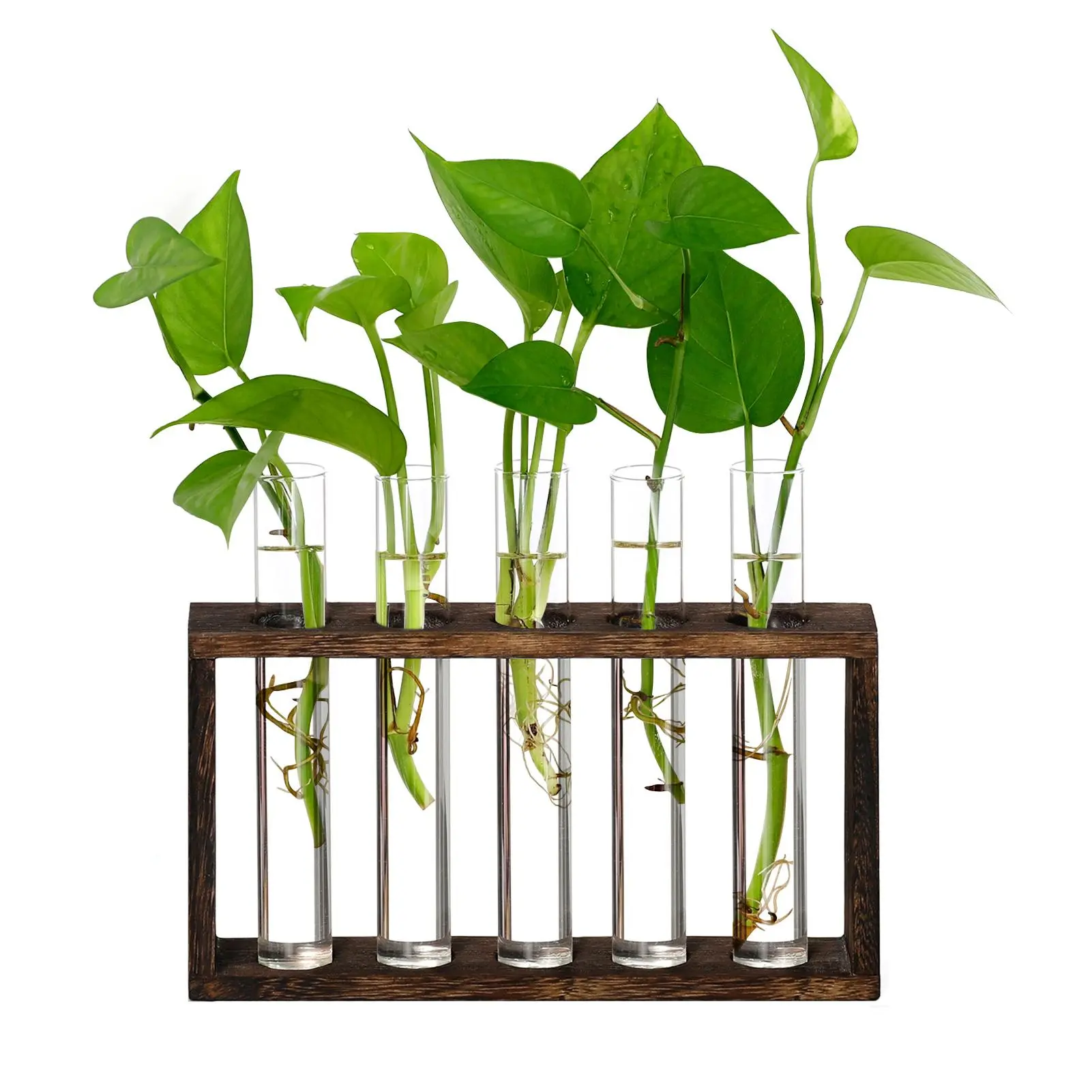 XXXFLOWER 5-Tube Plant Propagation Station - Minimalist Design Stable Natural Wood Stand with Base, Practical Tool Test Tube Planter Home Organizer Gift for Plant Enthusiasts