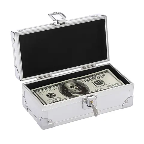 Key-Locked Aluminium Alloy Cash Box - Clean, Tidy, High-Quality Material, Elegant Appearance, Unique Single-Row Currency Tray, Multi-Functional Sturdy Organizer & Acrylic Piggy Bank for Collectors, Protects from Unauthorized Access