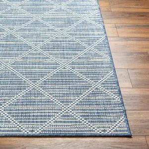 Sample Ivora Blue Area Rug Sample Ivora Blue Area Rug