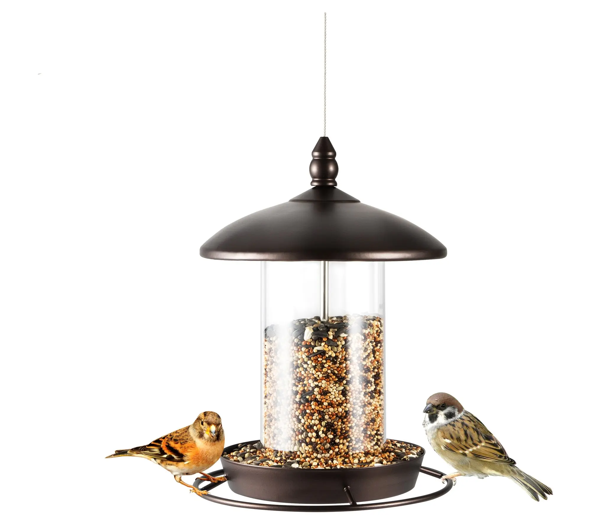 Backyard Expressions Metal Hanging Bird Feederor Outside Backyard Expressions Metal Hanging Bird Feederor Outside