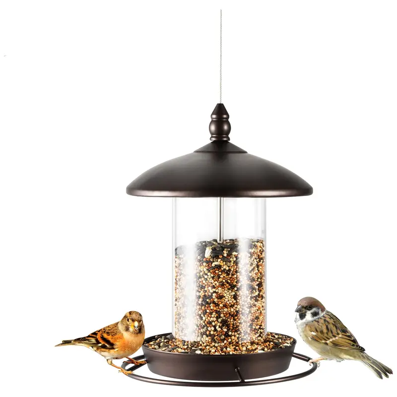 Backyard Expressions Metal Hanging Bird Feederor Outside