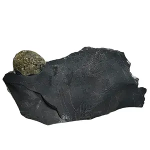 6in Botryoidal Pyrite on Magnetite Crystal Specimen Home Ornament