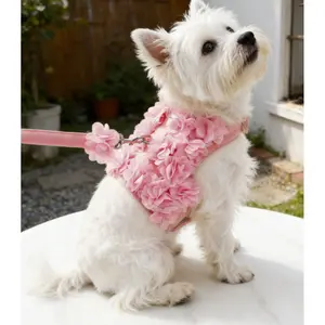 1 set of cute pink floral pattern harness and leash set, suitable for cats and dogs shaped/Personalized design styles increase the attention of your pet's travel/It's also a great fashion item for a party with your furry friends. poppy collar freedom gift