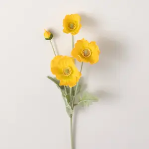 Poppy Long Stem , Yellow