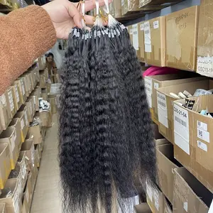 2025 NEW Wholesale 50 Strands Kinky Straight Micro Loop Hair Extensions, 40G/50G, 12-26 inch, Black Remy Human Hair with Micro Beads for Women