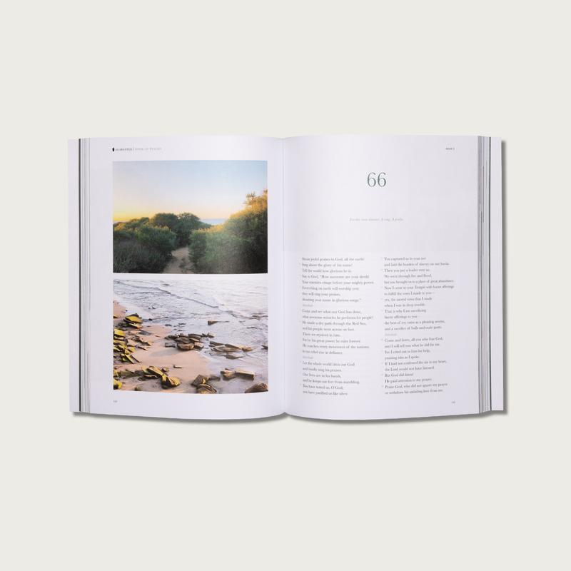 Alabaster Libro de los Salmos - Alabaster Bible (NTV Spanish Edition)