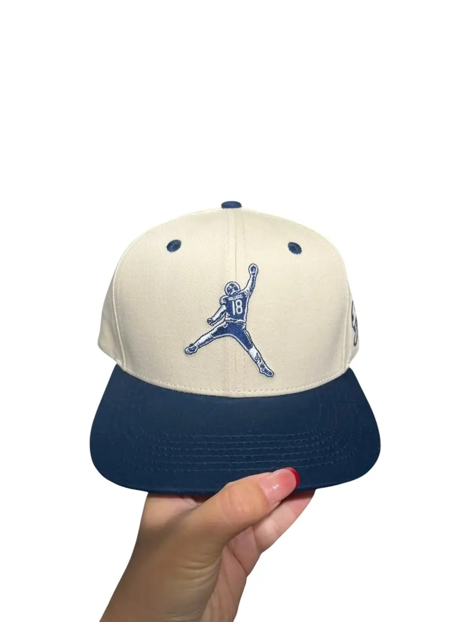 ICEMAN Bears hat
