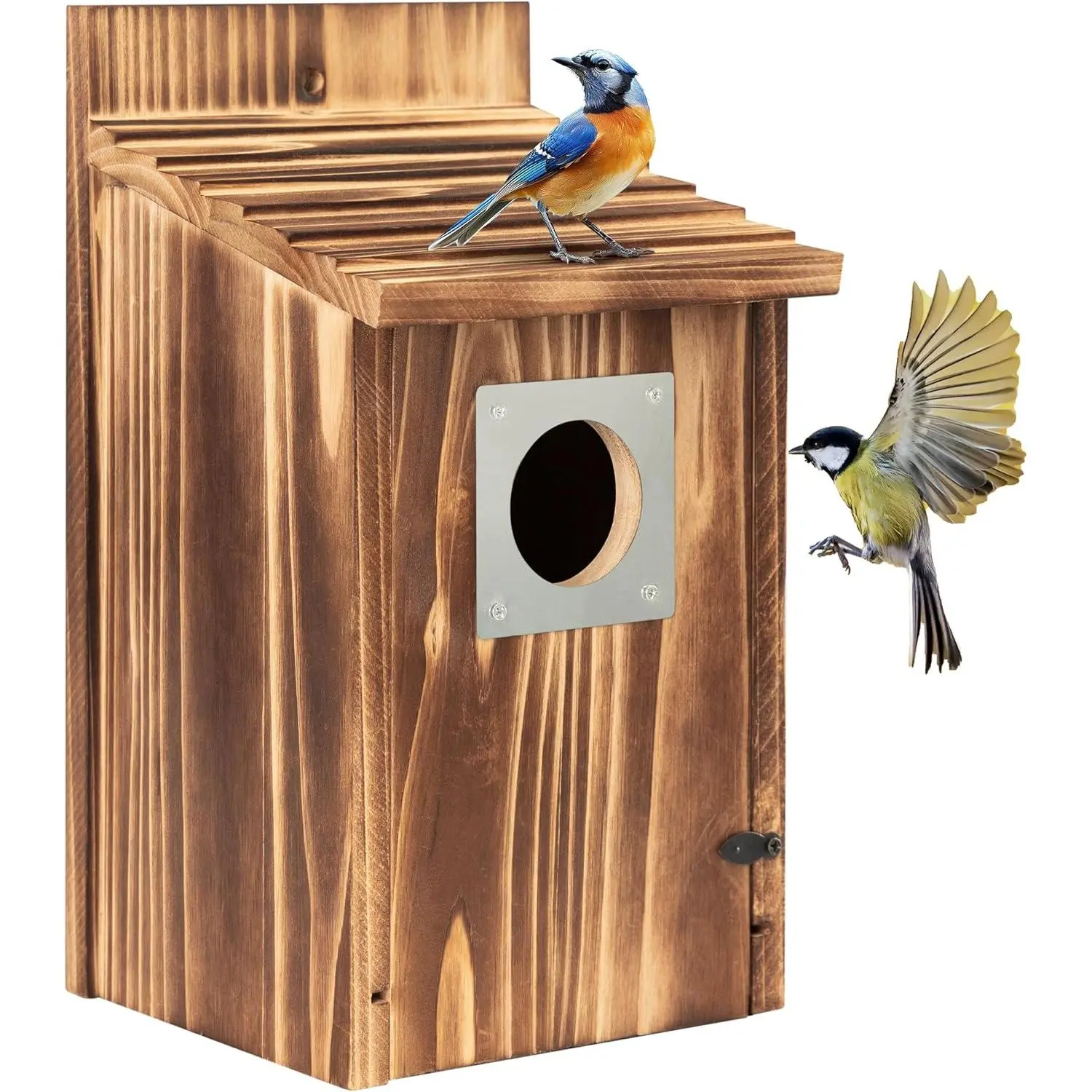 2 Pack Bird Houses for Outside with Metal  Guard for Bluebird Wren Swallow Finch, Carbonized Wooden Nesting Boxes for Outdoor, Sturdy Bird House,Easy to Clean
