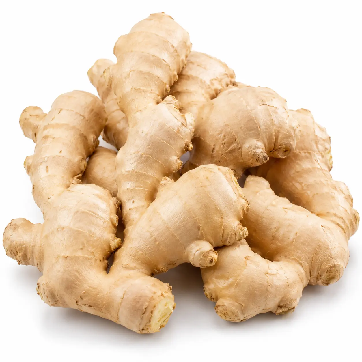 Fresh Ginger Root Organic Natural, Hand Selected Culinary Rhizome for Tea, Juicing, Cooking, Baking