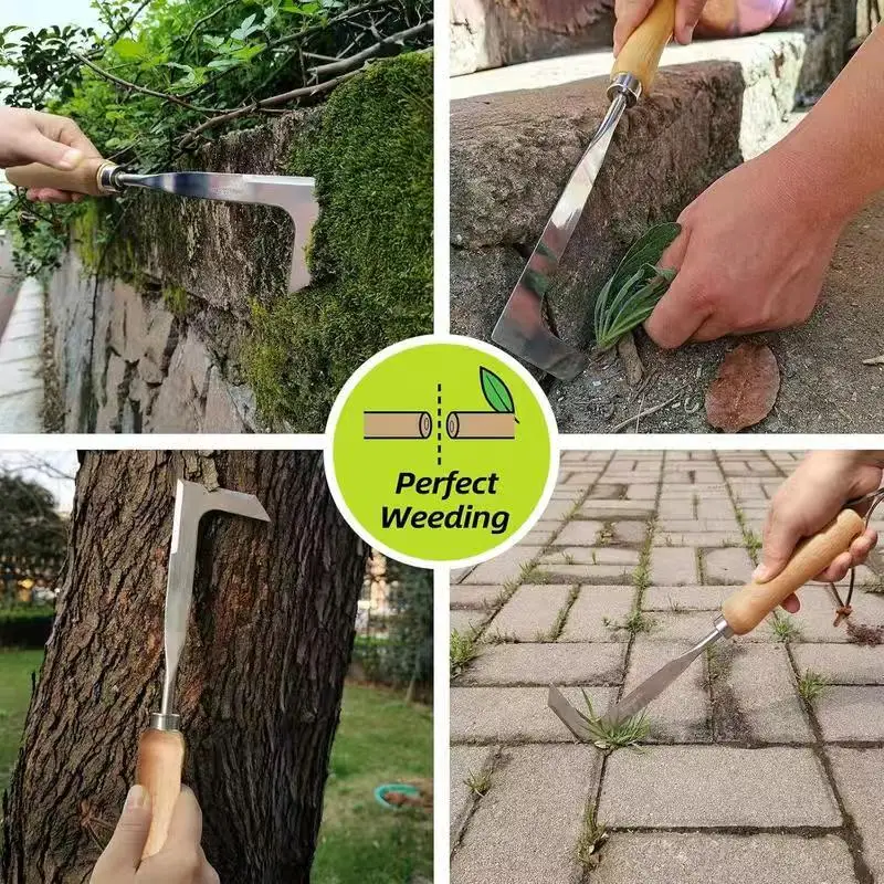 Stainless Steel Crack Weeder Tool - 12" Manual Weed Puller with Beech Wood Handle for Sidewalks, Driveways & Pavers - Garden Gap Cleaner for Narrow Cr
