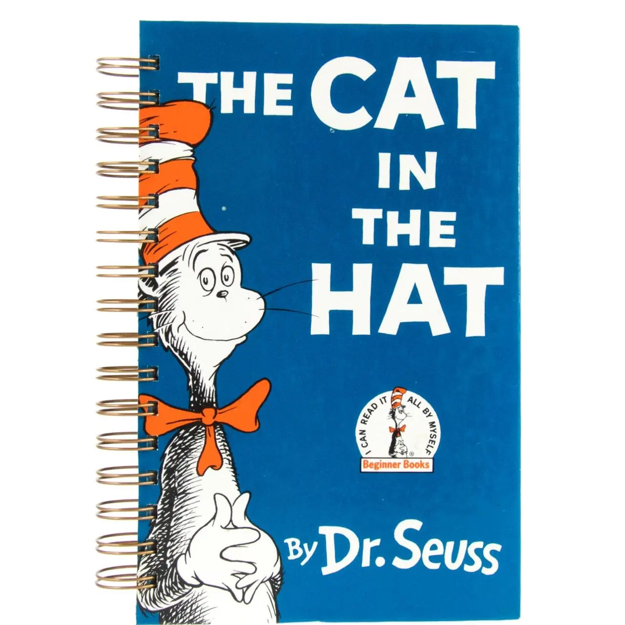 Book Journal made with Cat in the Hat
