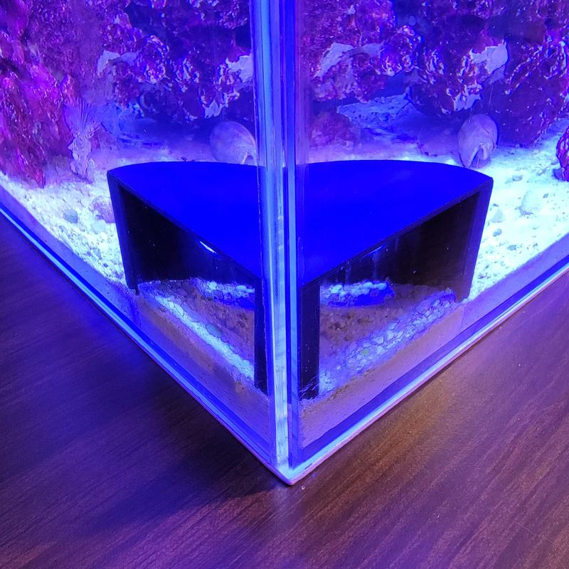 Fishkeeping3D Corner Aquarium Cave for Freshwater and Saltwater Tanks - Small: 2.5 Inches from Corner, 1.5 Inches Tall, Ideal for Pleco, Otocinclus, and Shrimp