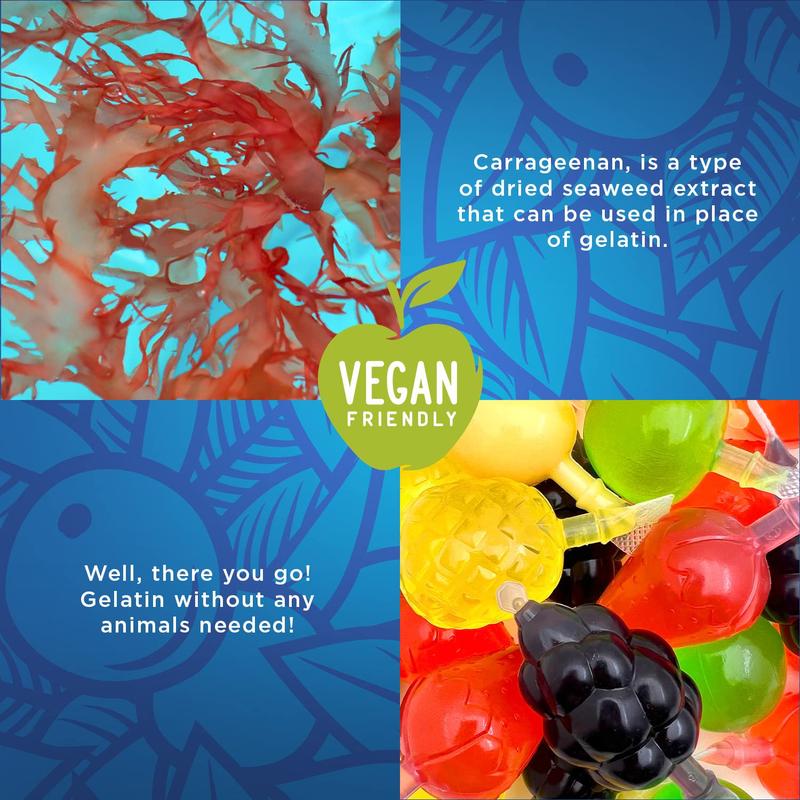 Squeezable Fruit Jellies Candy - 25 Count Bag - Assorted Flavors Snack Dessert