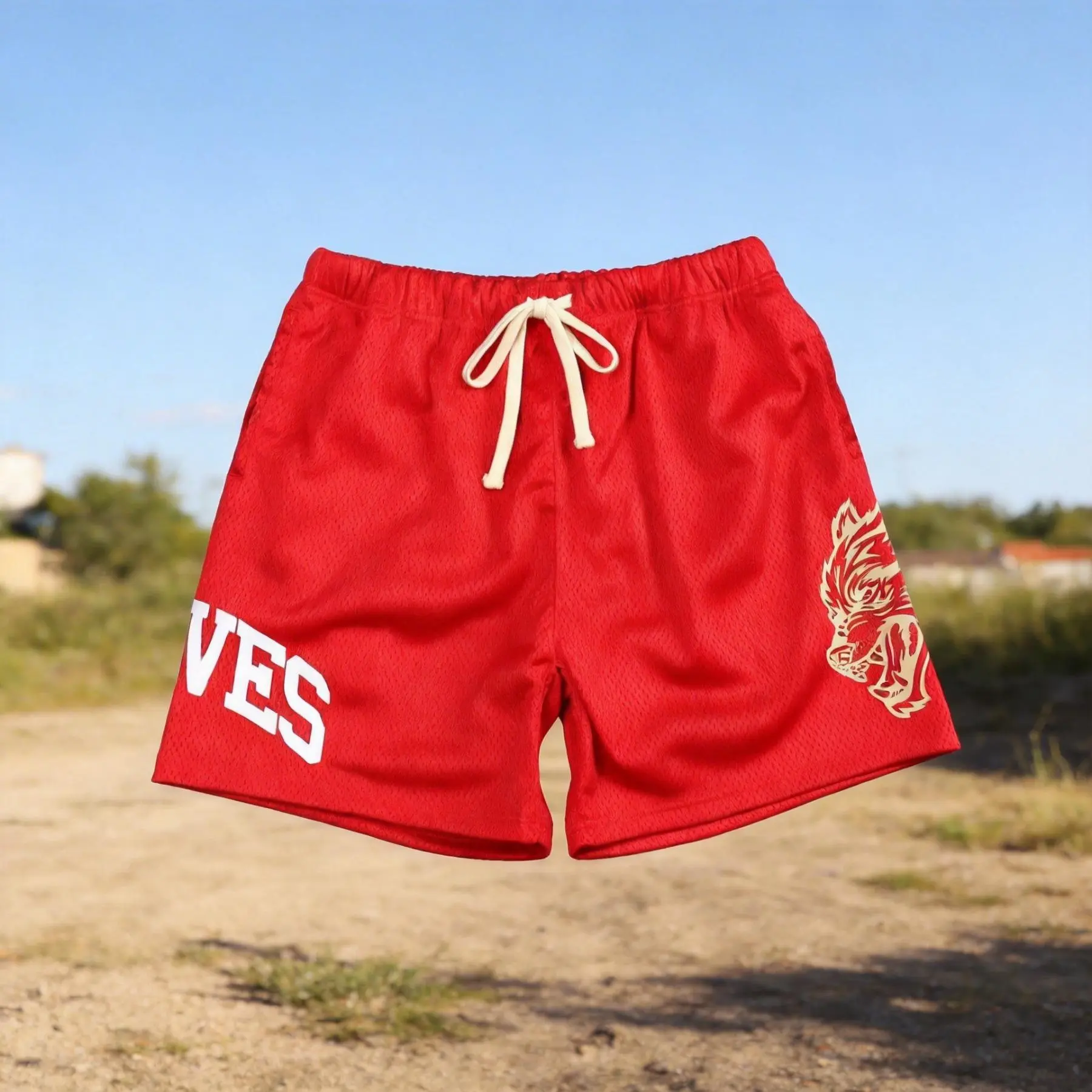 Straight Leg Trousers, Men’s Summer Beach Shorts – Mesh Quick-Dry, Multi-Color Sports & Basketball Volleyball Uniforms Softball Pants Sporty, Breezy Comfort, Easy Wear, Loungewear, Travel Outfit, On The Go, Simple Style