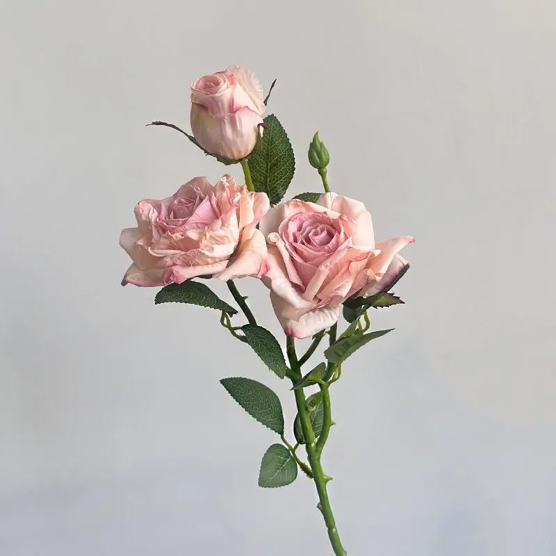 Pink vintage three-headed rose
