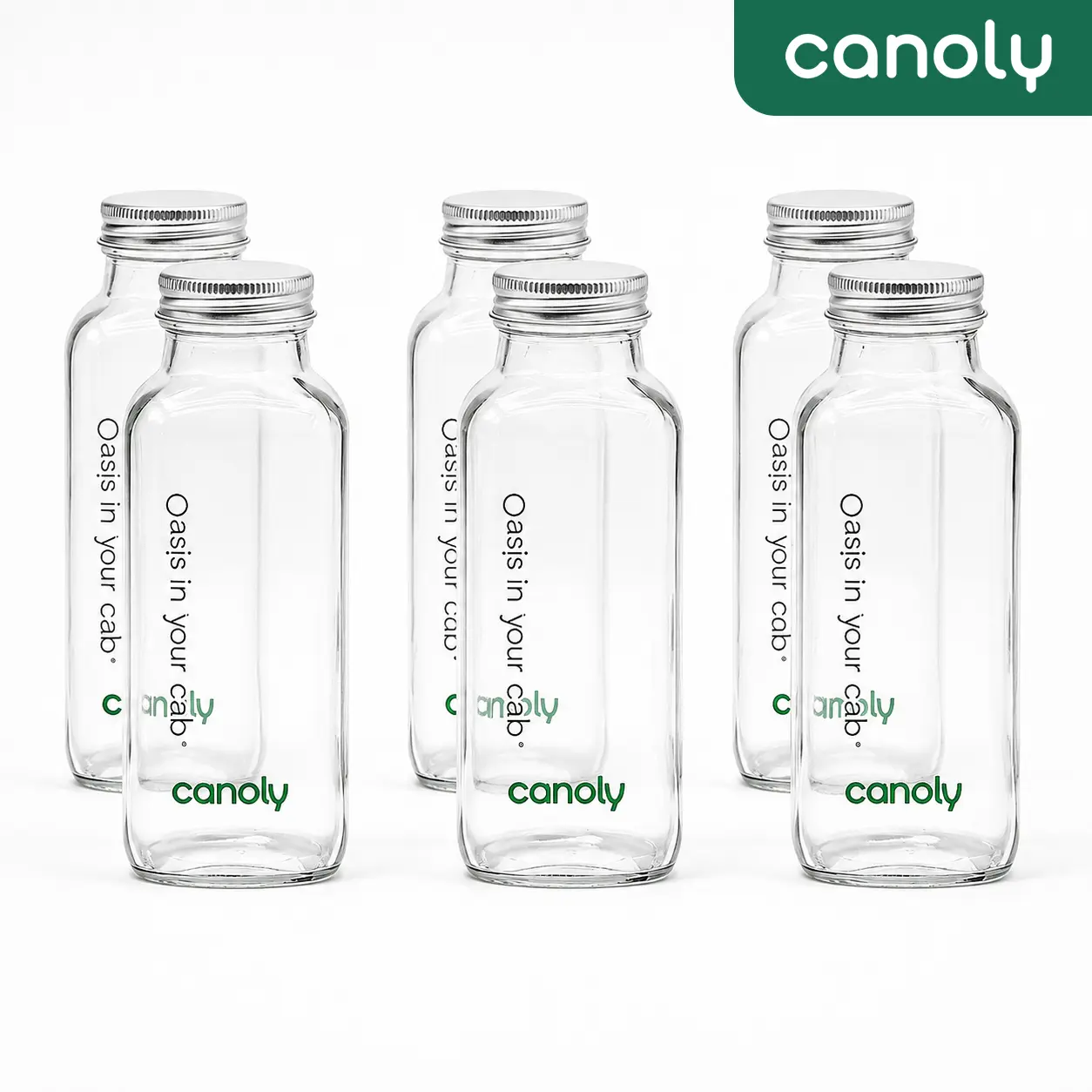 Canoly 6-Pack Transparent Eco-Friendly Glass Bottle Set, Reusable Kitchen Drink Containers for Meal Prep, Fridge Storage & Juice Carry, Hand Wash Compatible