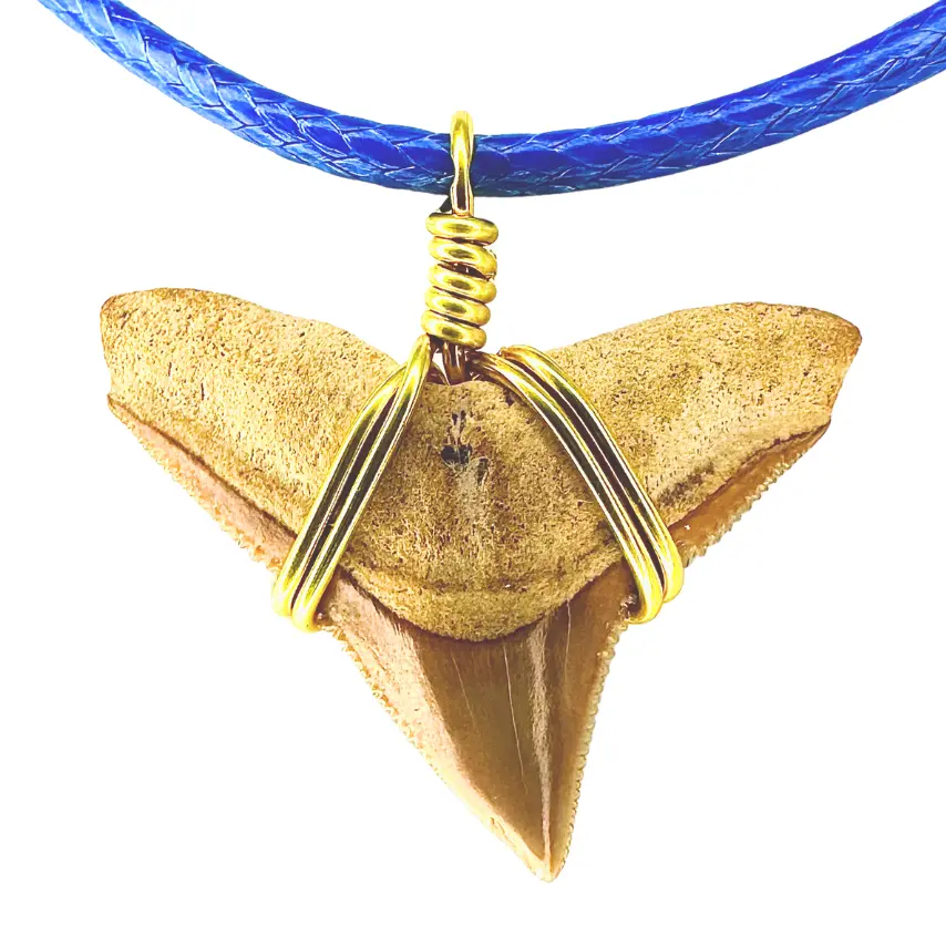 Limited Edition RARE Orange Marine Fossil Necklace